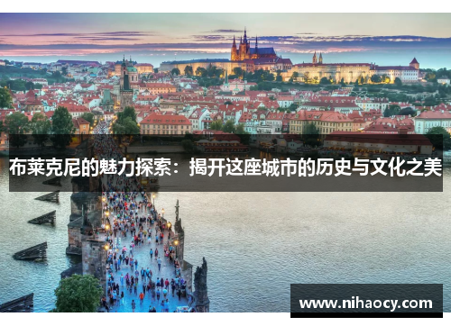 布莱克尼的魅力探索：揭开这座城市的历史与文化之美